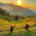 Ha Giang Adventure: A Journey Through Time and Culture